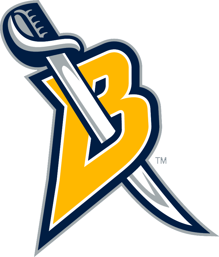 Buffalo Sabres 2006-2012 Alternate Logo iron on heat transfer